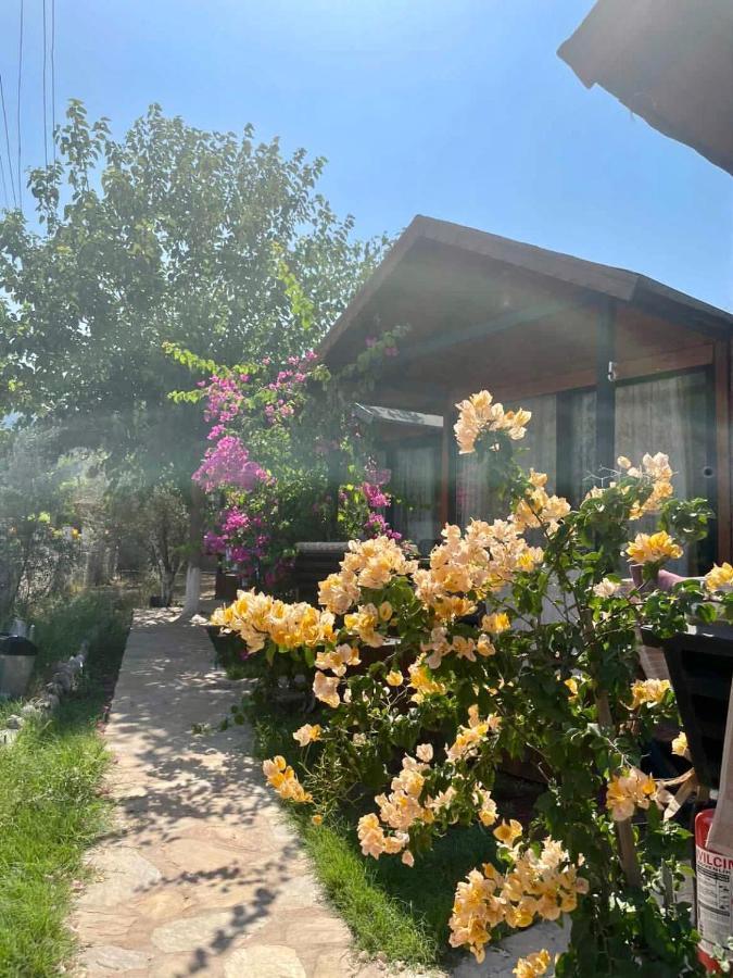 Hotel Marimare Beach & Bungalow Marmaris Exteriér fotografie
